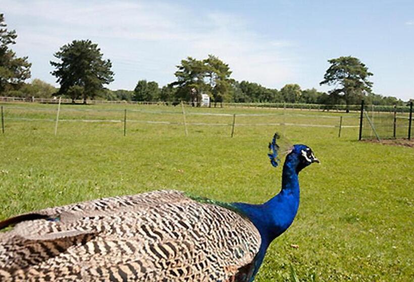 Мотель Logis Hôtel Restaurant La Vieille Ferme, Mâcon Nord