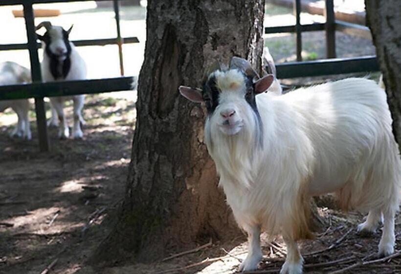 Мотель Logis Hôtel Restaurant La Vieille Ferme, Mâcon Nord