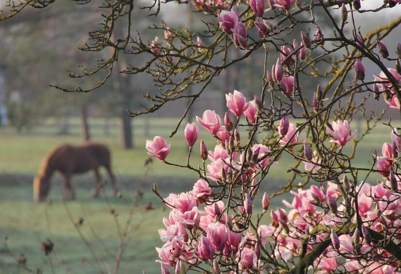 モーテル Logis Hôtel Restaurant La Vieille Ferme, Mâcon Nord