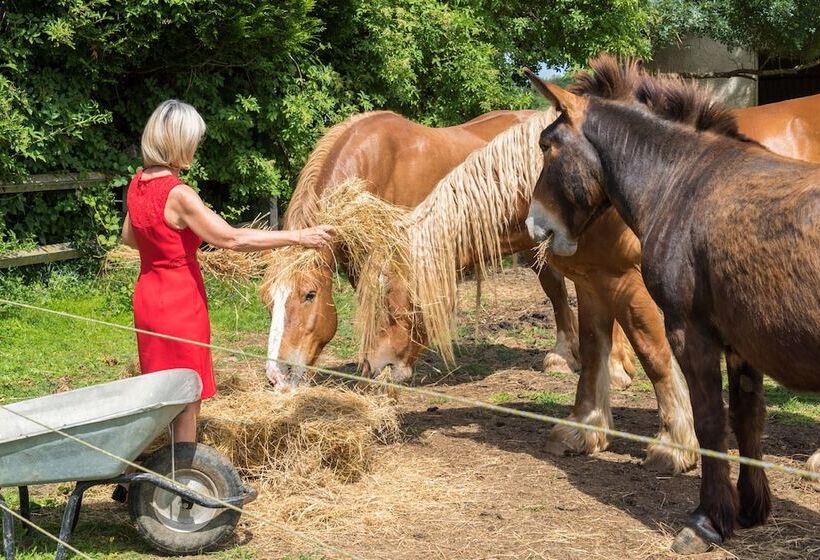 Мотель Logis Hôtel Restaurant La Vieille Ferme, Mâcon Nord