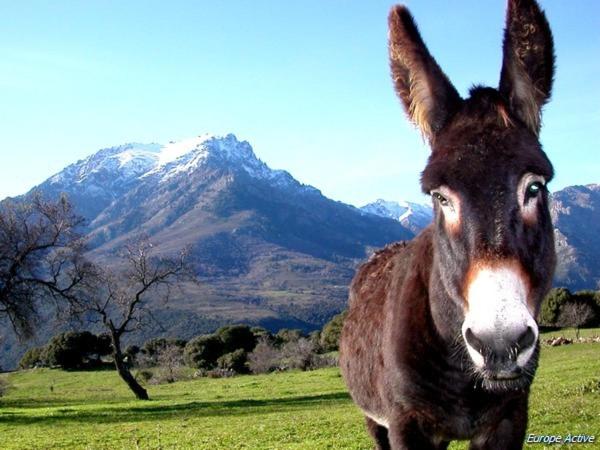 Резиденция L Alivi Di L Osari