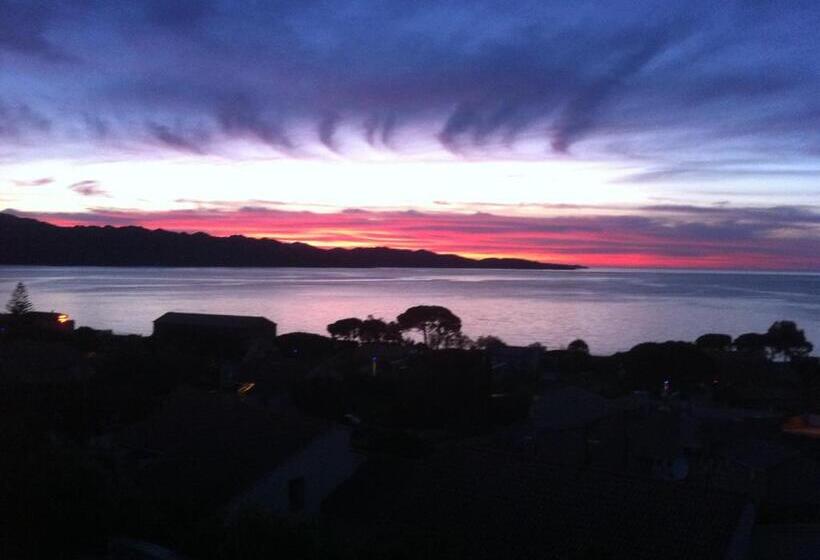 住所  Résidence Costa D'oru