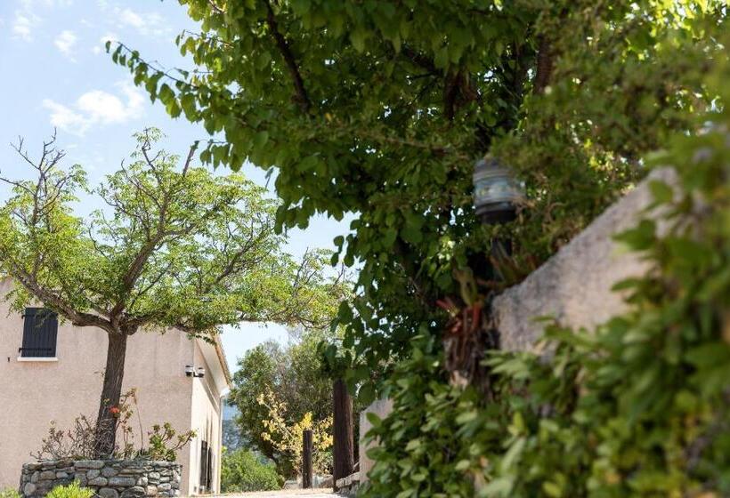 レジデンス Résidence Costa D'oru