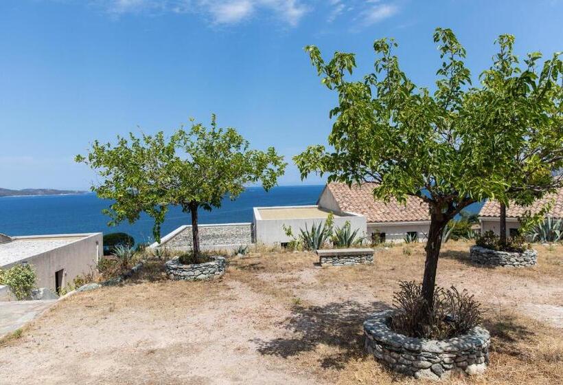 住所  Résidence Costa D'oru