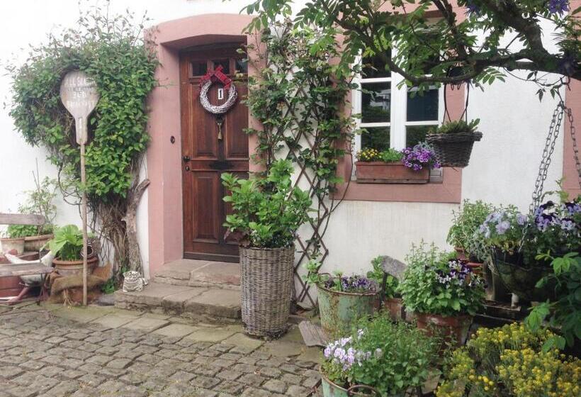 All Seasons Bed & Breakfast