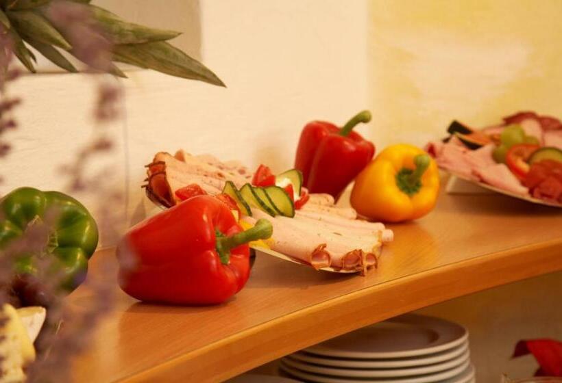 Apart Hotel Pension Roßmayer