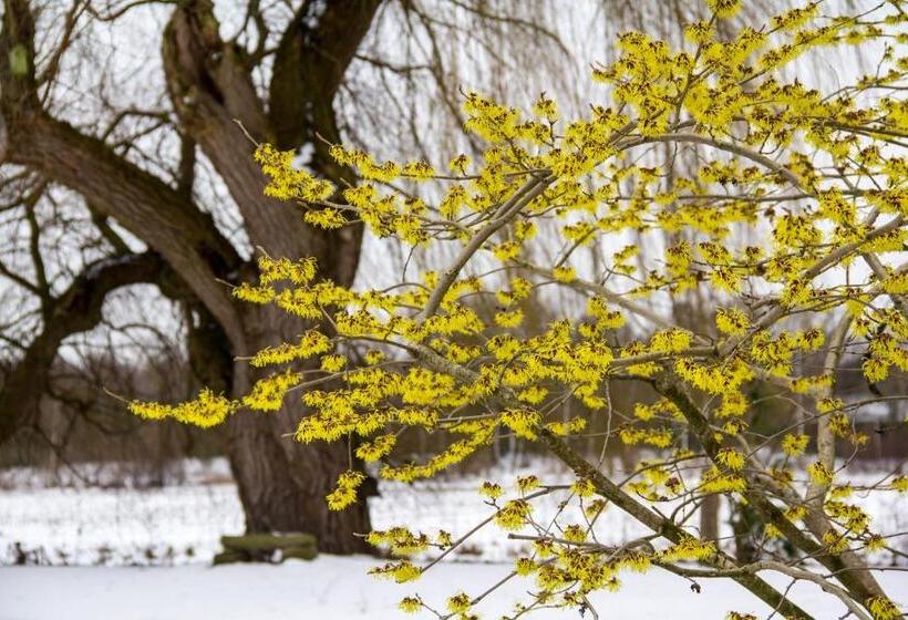 Bed And Breakfast Am Schwatten Berg