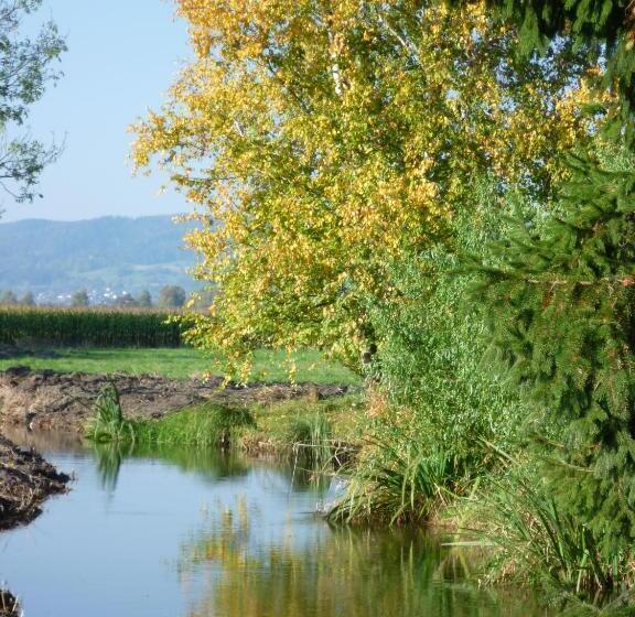 ベッドアンドブレックファースト Gesundheitshotel Haus Sonnenstein