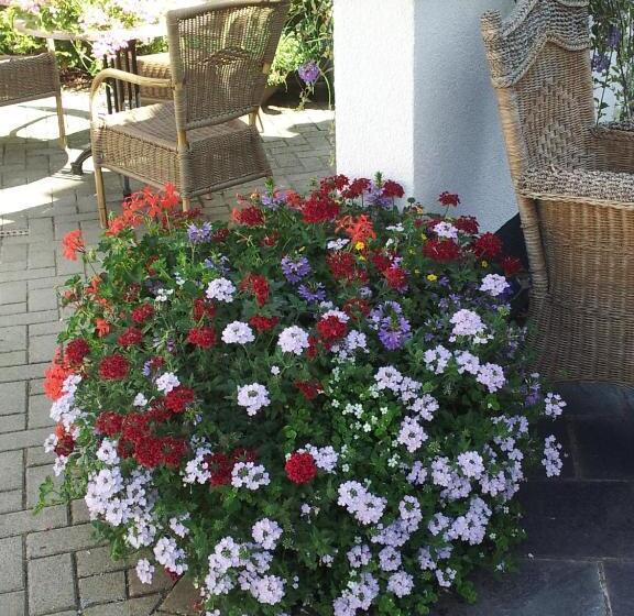 민박 De Witte Molen Kranenburg