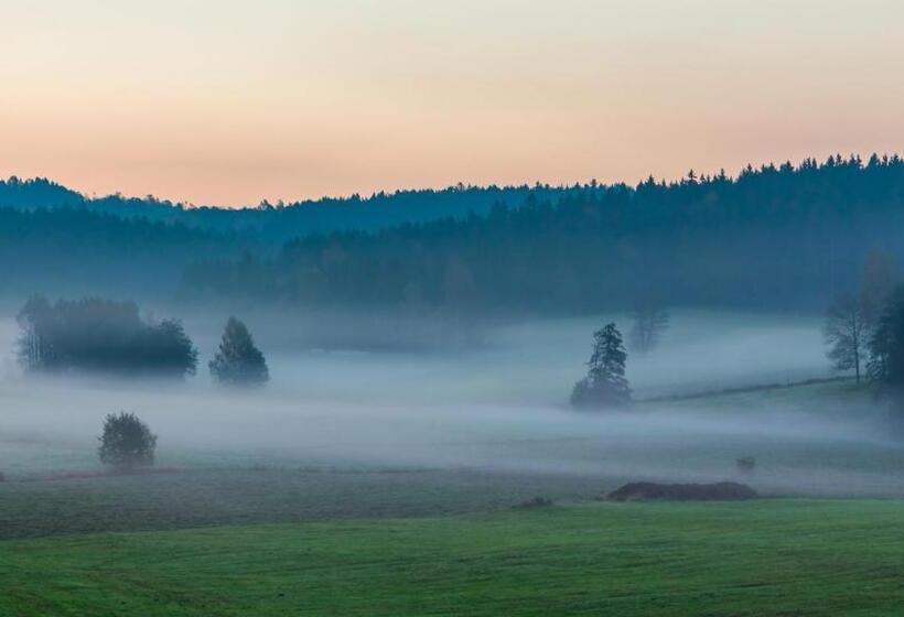 Bed and Breakfast Pension Salzsäumer