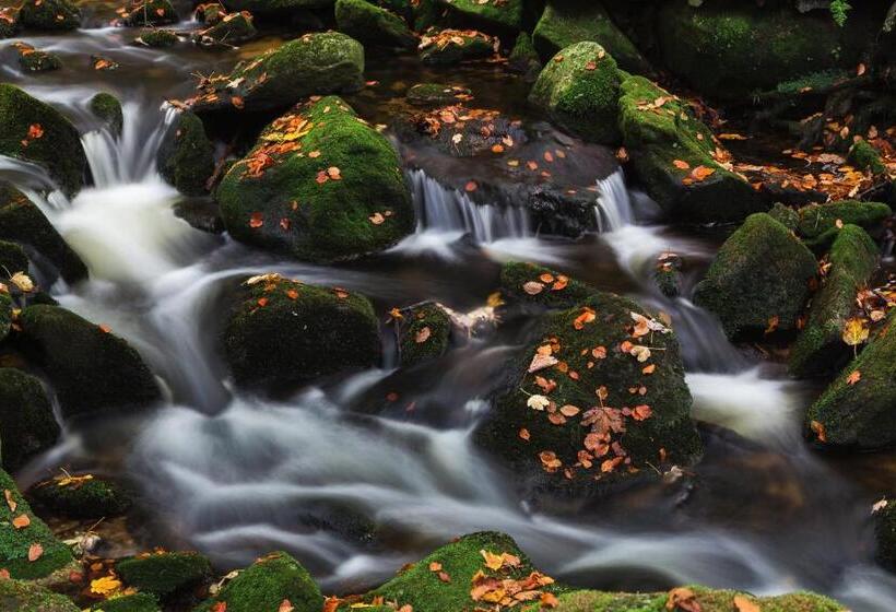 Bed and Breakfast Pension Salzsäumer