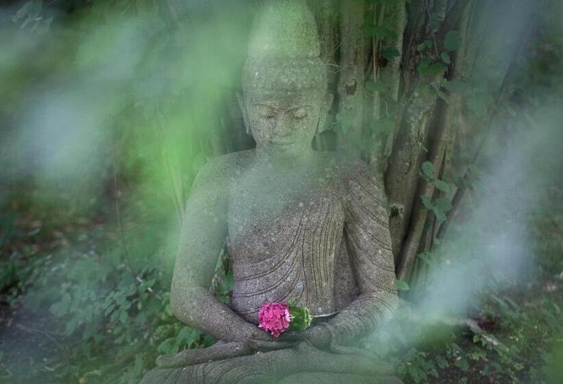 Bed and Breakfast Villa Adolphine