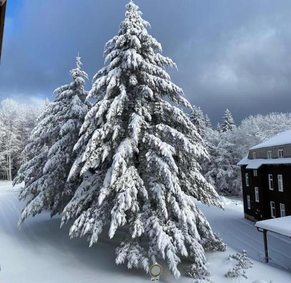 Berghotel Stutenhaus