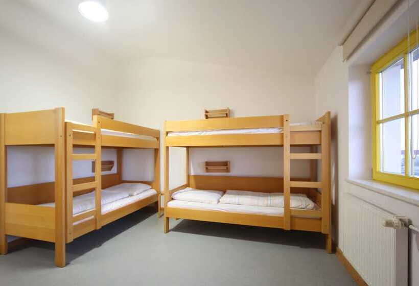 Djh Jugendherberge Greifswald   Hostel