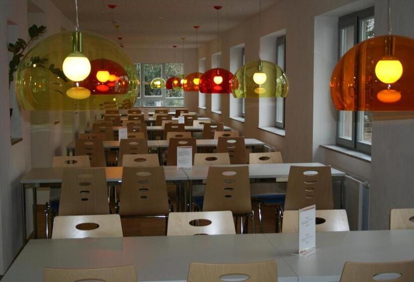 Djh Jugendherberge Mannheim International