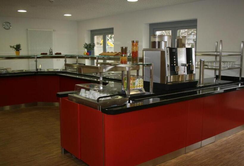 Djh Jugendherberge Mannheim International