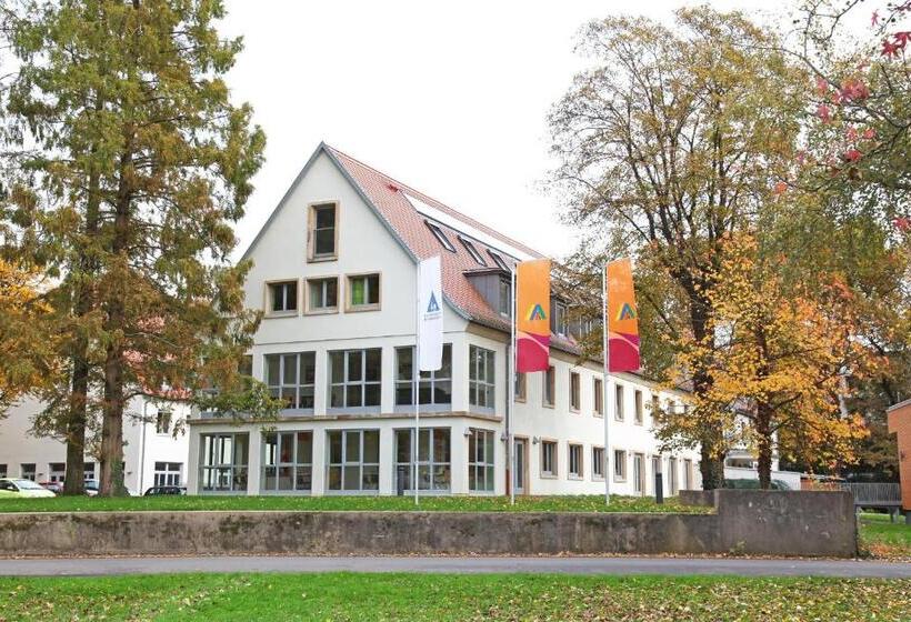Djh Jugendherberge Mannheim International