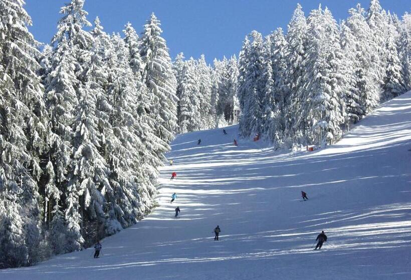 Gasthof Hotel Dilger