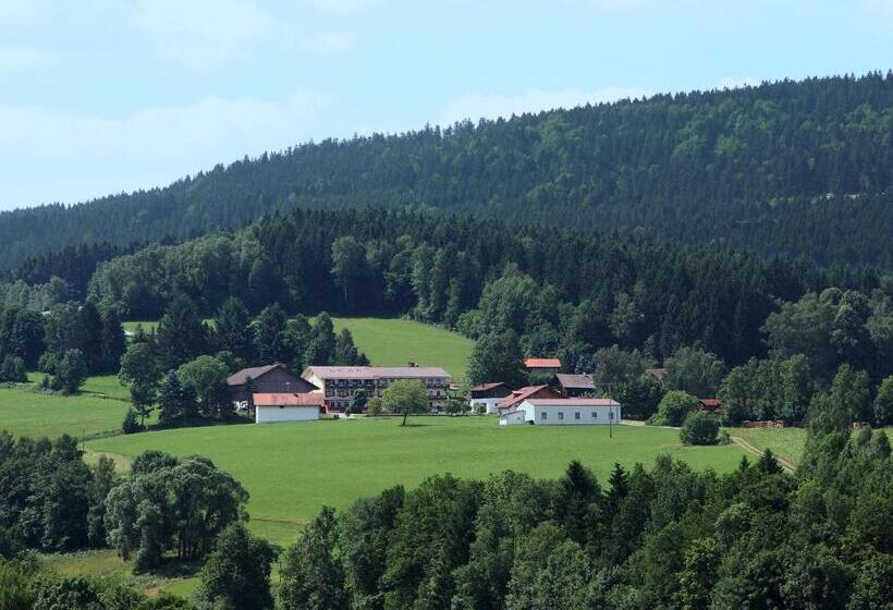 Gasthof Hotel Dilger