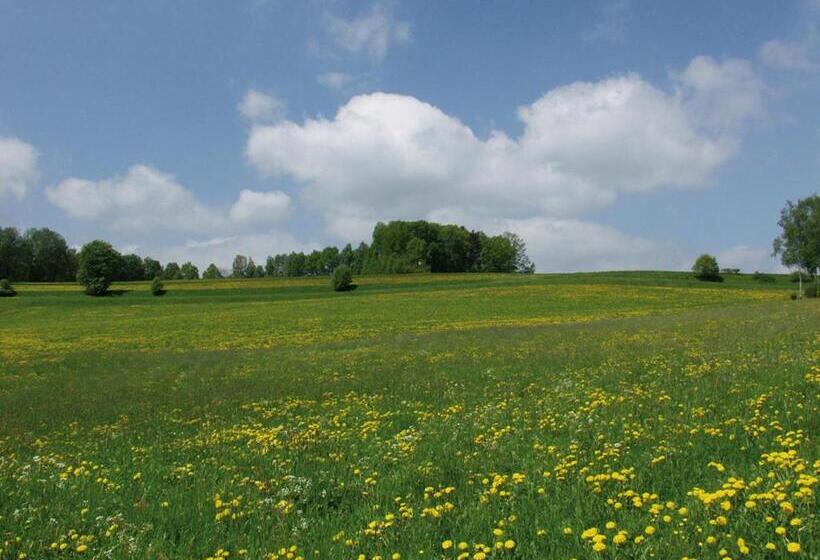 Gasthof Hotel Dilger