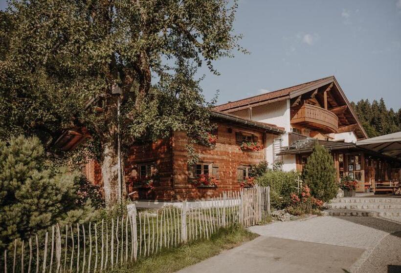 هتل Alpe Dornach