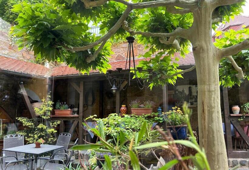 فندق Alte Gerberei