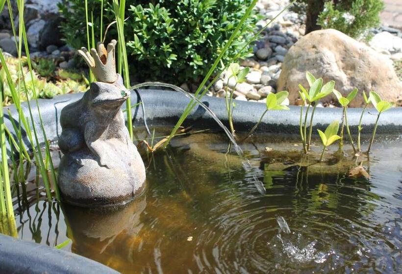 Отель Altes Schulhaus