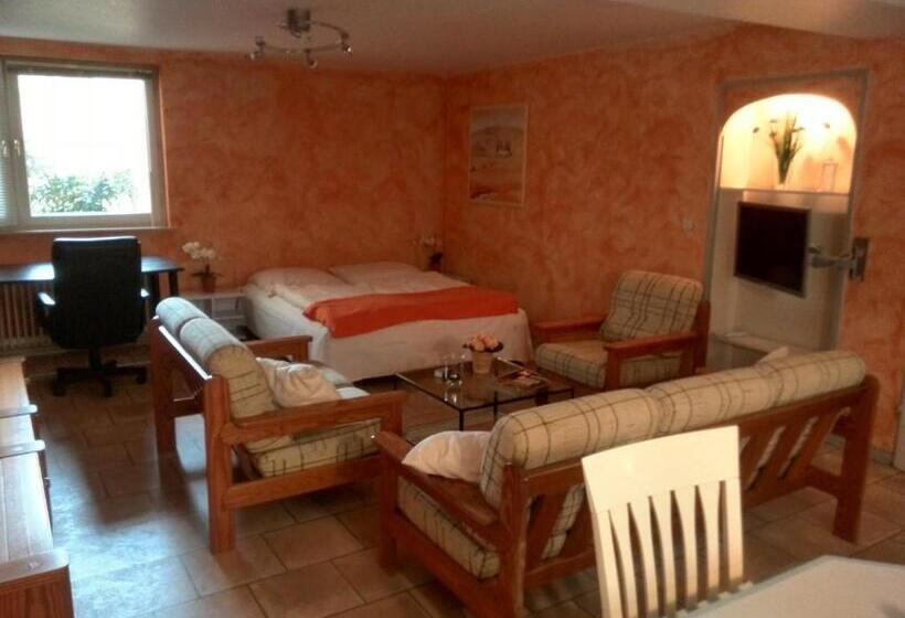 酒店 Altes Zollhaus Am Klinikum