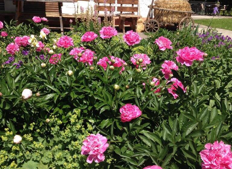 בית מלון כפרי Beim Nuihausa