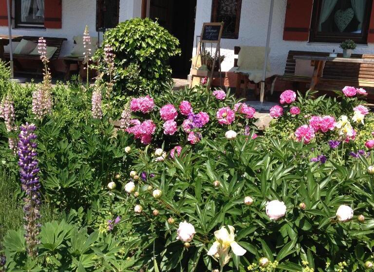 בית מלון כפרי Beim Nuihausa