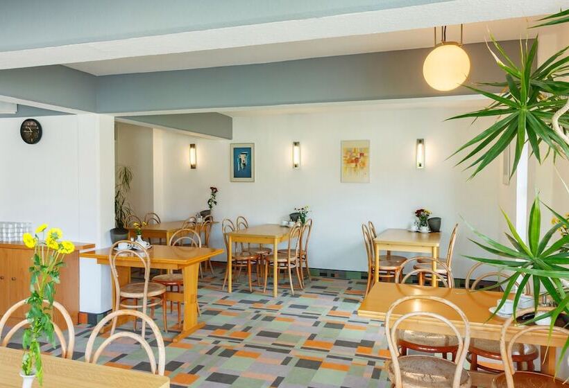 ホテル Citypension Dessauroßlau