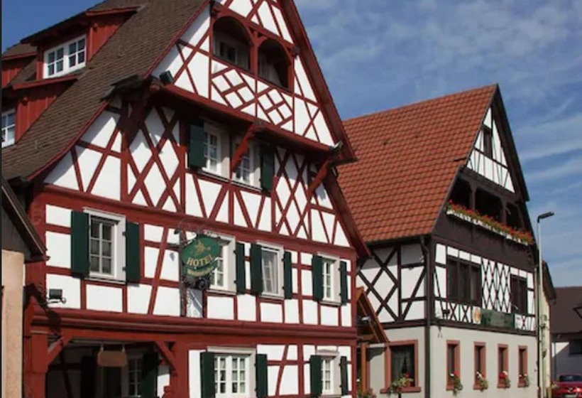 בית מלון כפרי Engel