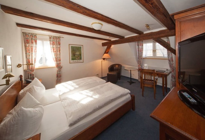 בית מלון כפרי Engel