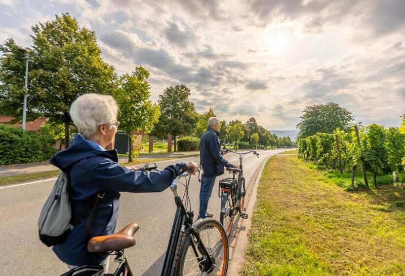 호텔 Eurostrand Resort Moseltal