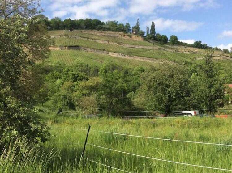 酒店 Garni Zum Rebstock