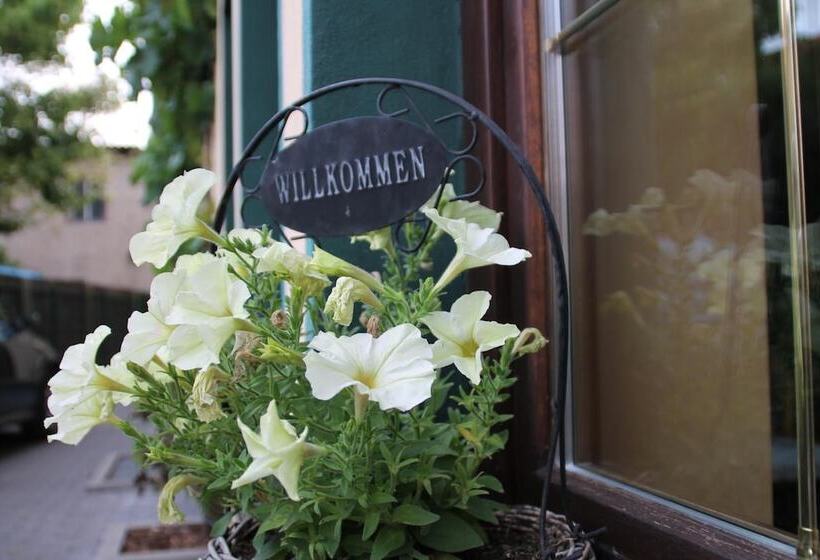 酒店 Garni Zum Rebstock