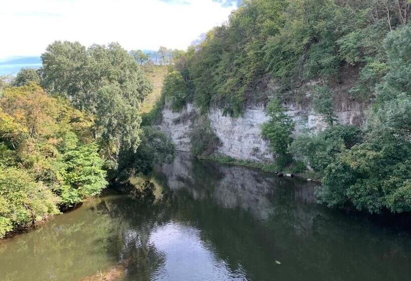 酒店 Garni Zum Rebstock