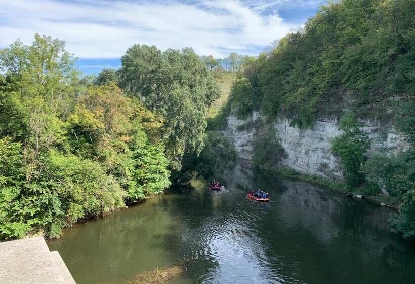 酒店 Garni Zum Rebstock