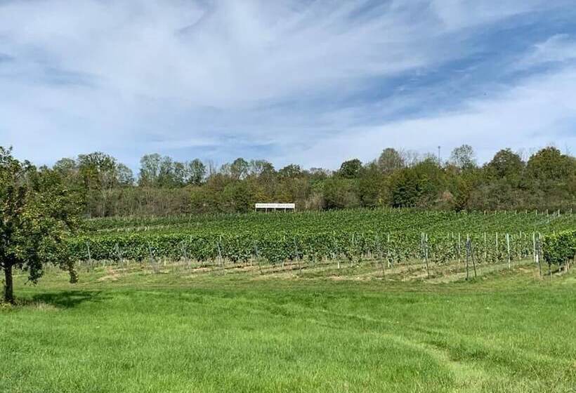 酒店 Garni Zum Rebstock