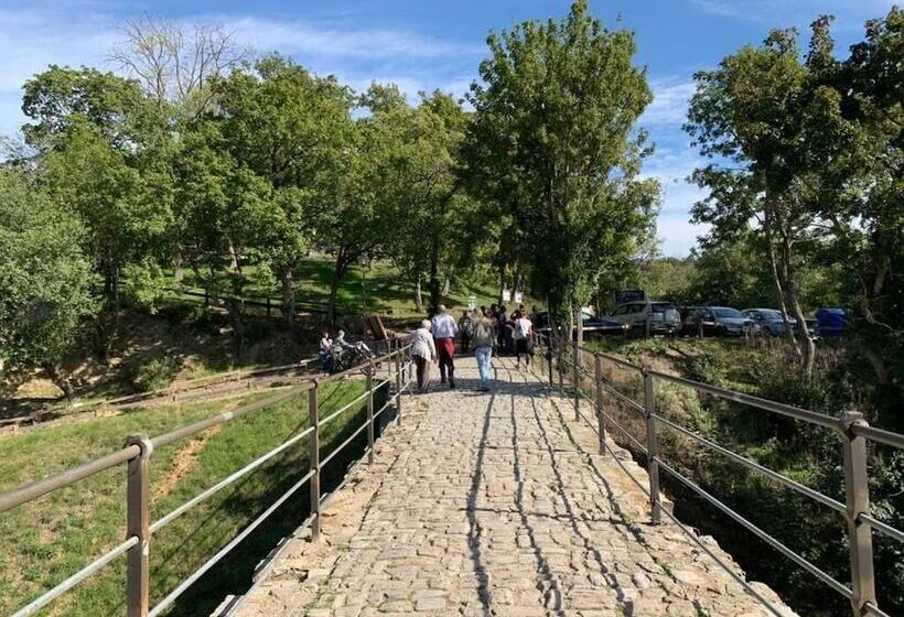 酒店 Garni Zum Rebstock