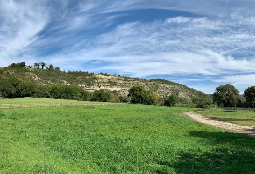 酒店 Garni Zum Rebstock