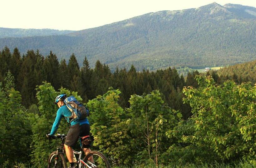 Garnihotel Zur Linde Bayerischer Wald Aktivcard Mit 130 Kostenfreien Leistungen Kostenloser Pa