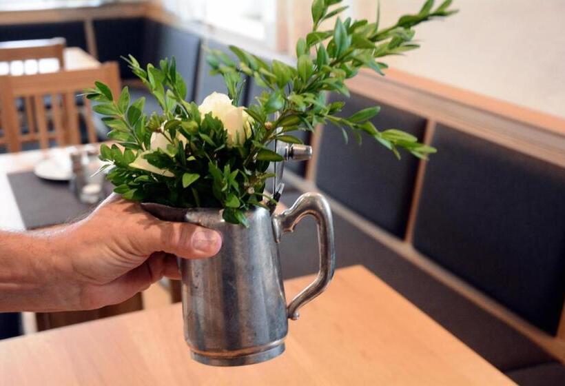 Отель Gasthaus Schwan