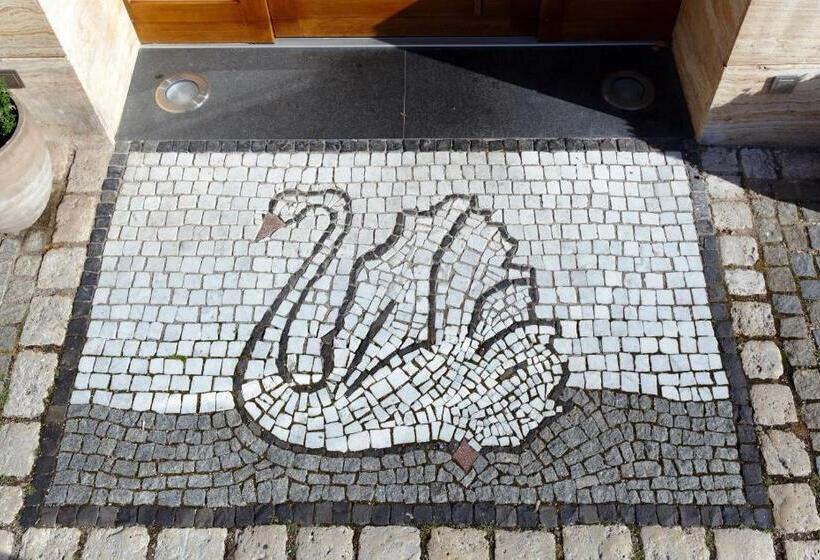 호텔 Gasthaus Schwan