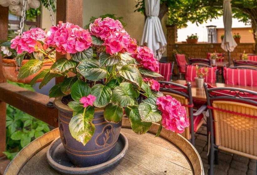 ホテル Goldener Pfropfenzieher