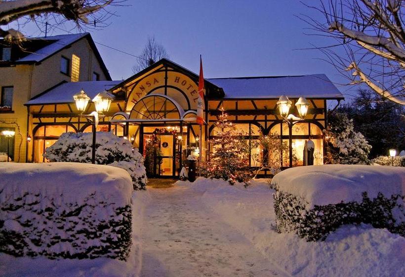 Отель Hansa