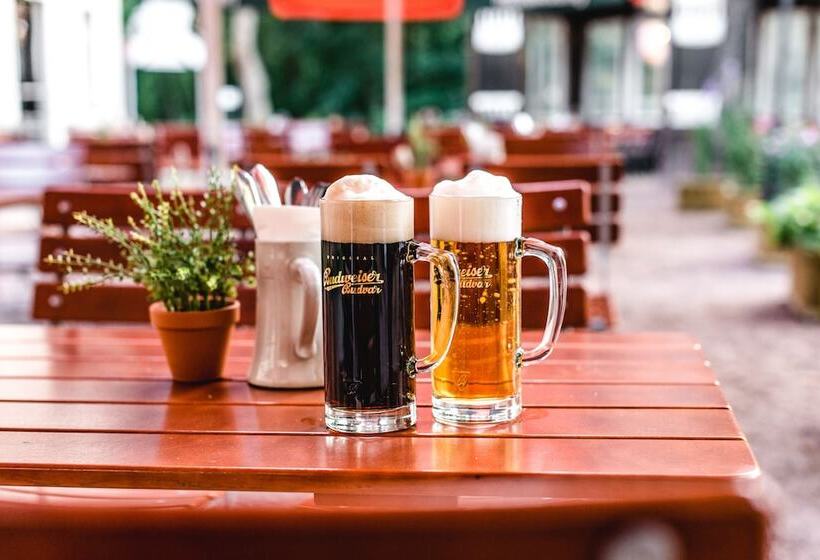 Отель Historische Spitzgrundmuhle