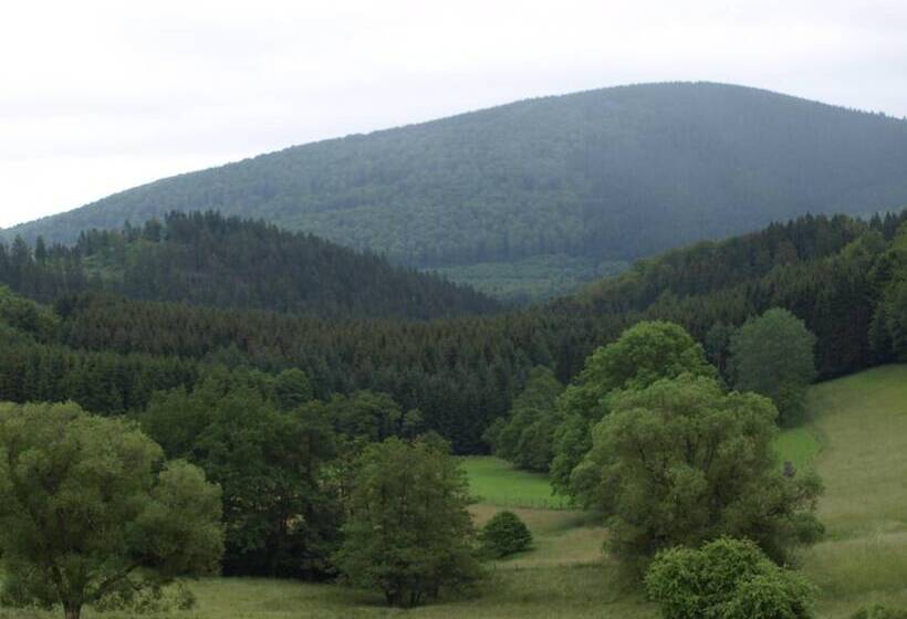 酒店 Jagerhof Winterberg