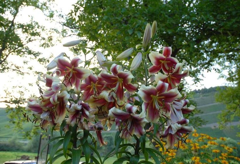 호텔 Juffer Flair Restaurant Gästehaus