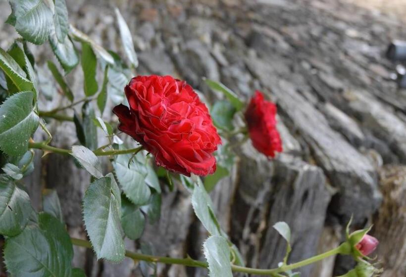 호텔 Juffer Flair Restaurant Gästehaus